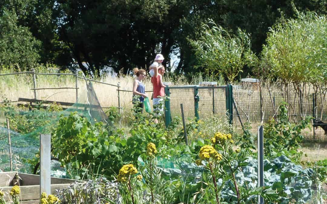 Portes ouvertes du jardin partagé et pédagogique de cramphore