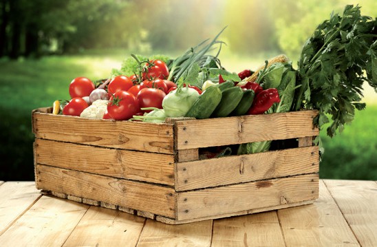 Ateliers nutrition