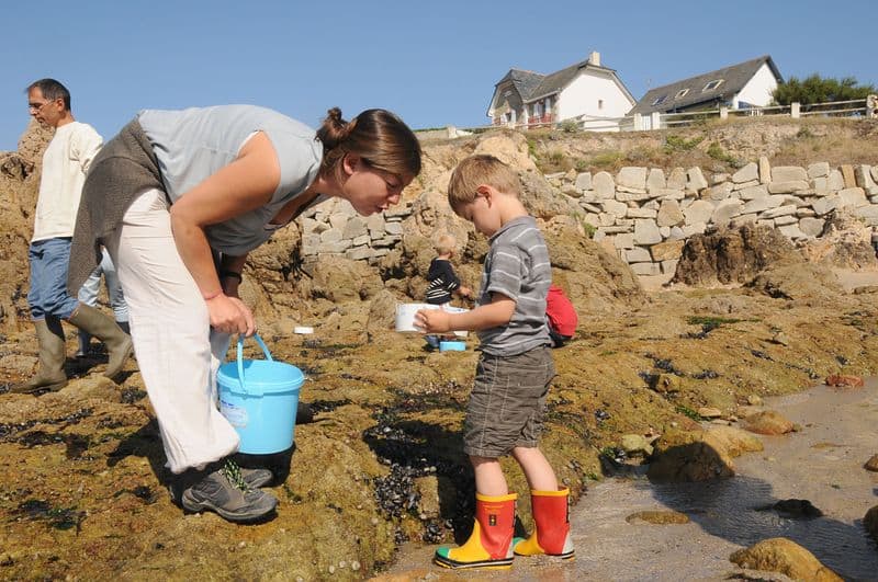 Sortie nature « La vie à marée basse »