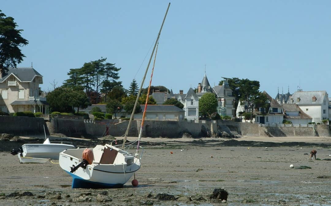 Balade nature  »La vie à marée basse »