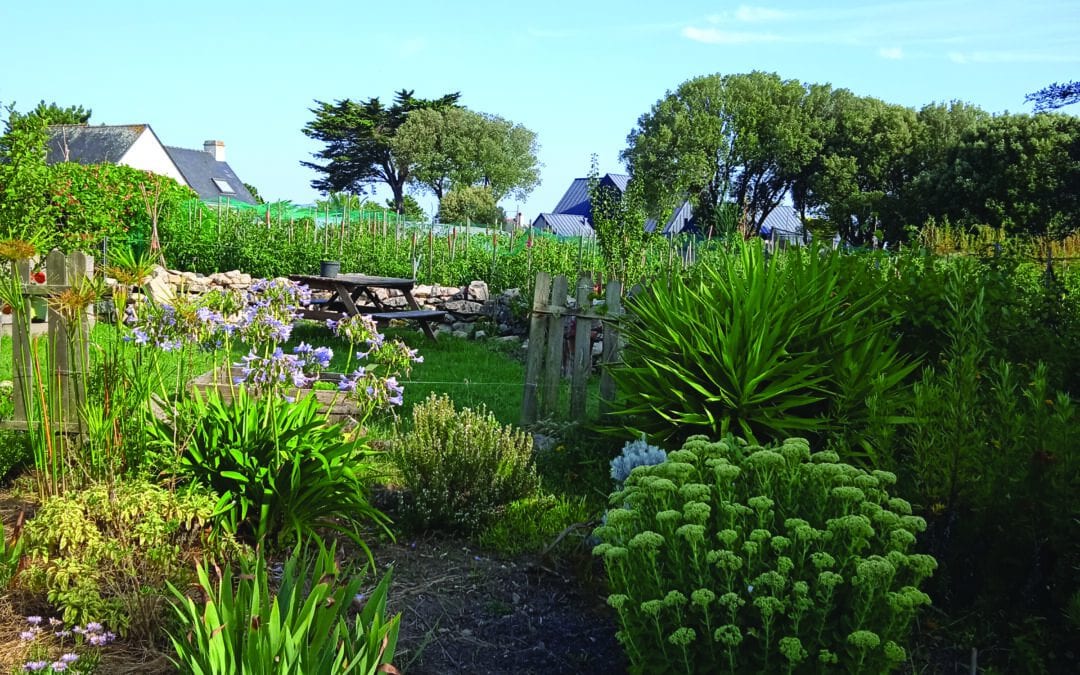 Jardin partagé et pédagogique de Cramphore
