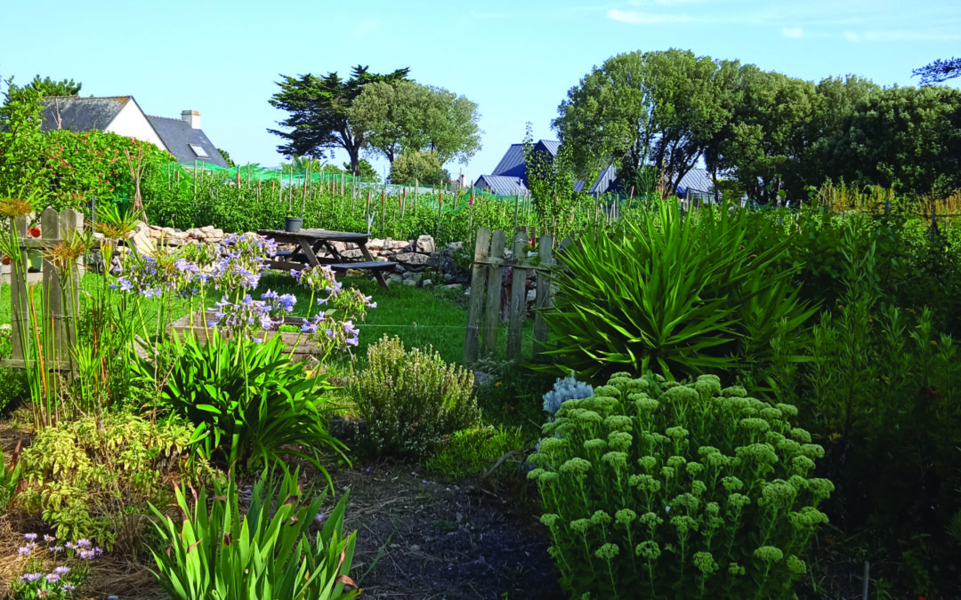 Jardin partagé et pédagogique de Cramphore