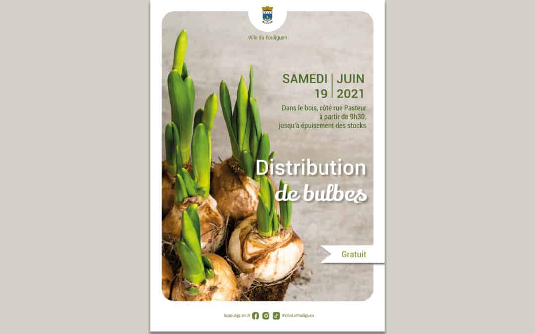 Distribution gratuite de bulbes