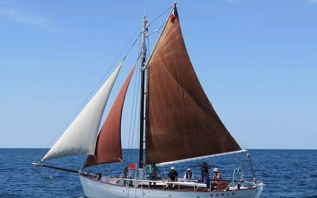 Les rendez-vous du port