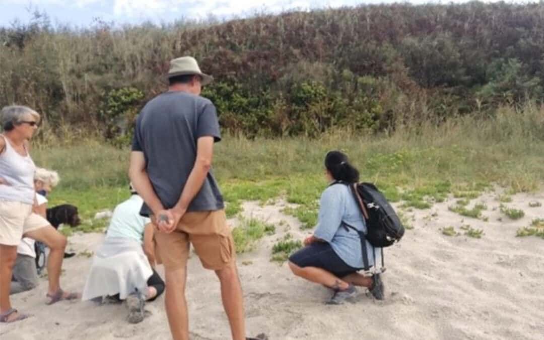 Balade « Une nature discrète »