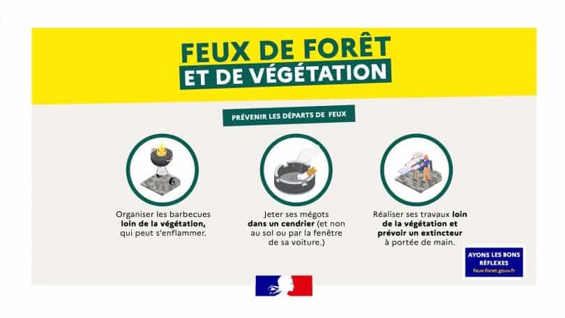 feuxForet_vegetation