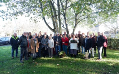Concours de jardins : résultats et astuces