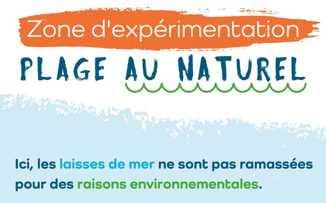 La baie du Scall au naturel
