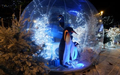 Illuminations : encore du nouveau !