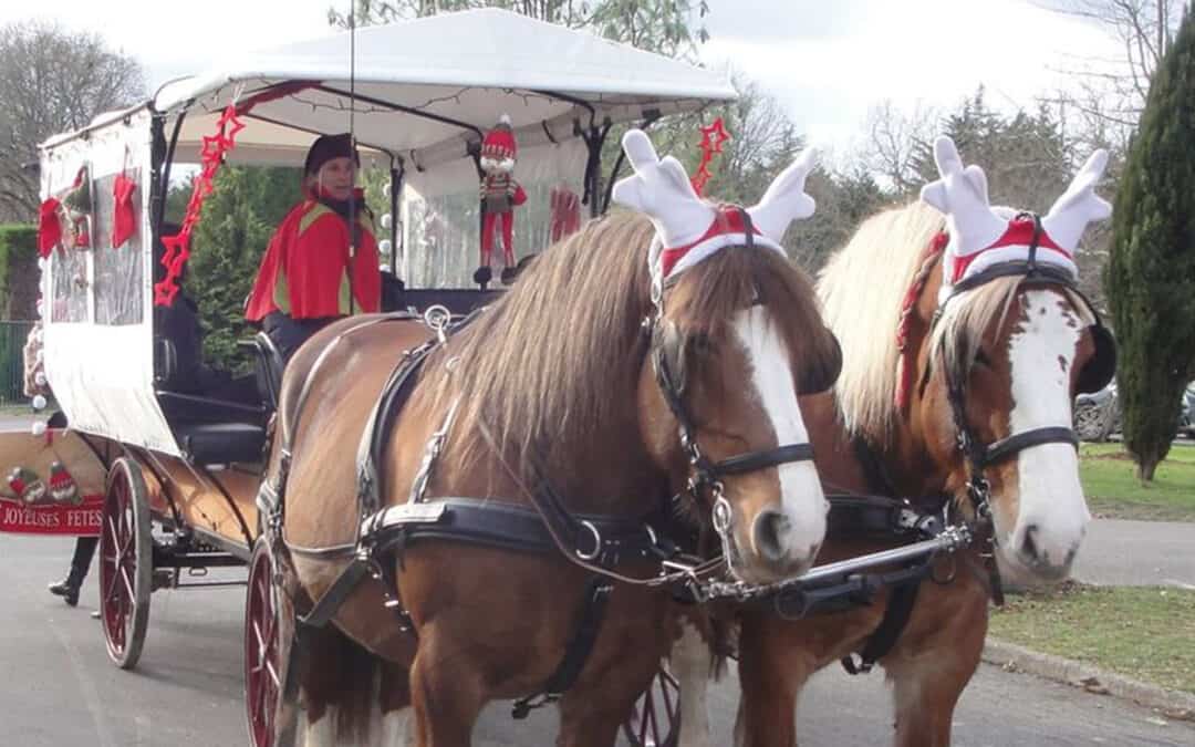BALADES EN CALECHE