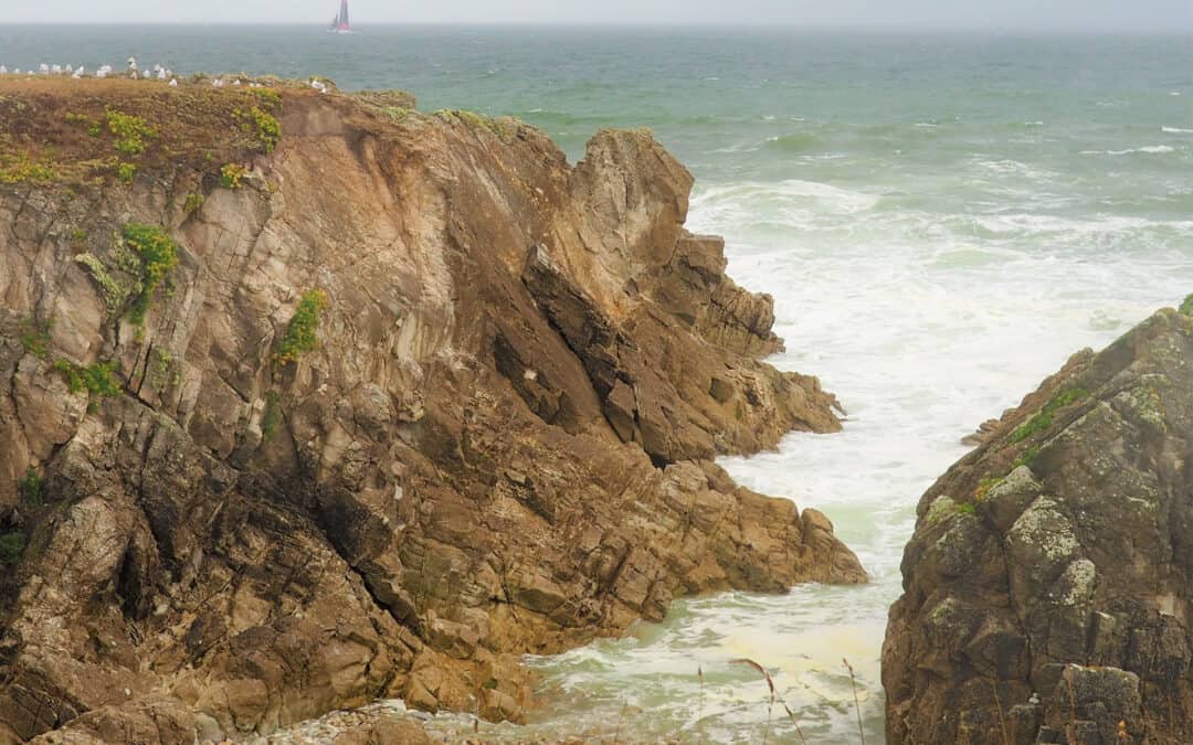 BALADE NATURE – LA GRANDE CÔTE UN PAYSAGE SOUS INFLUENCE