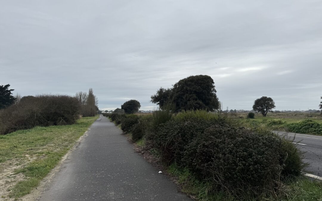 RENOUVELLEMENT DE LA BARRIERE VEGETALE BOULEVARD DE KISSLEGG
