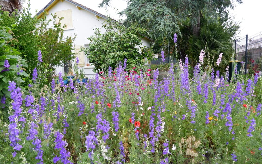 Concours des jardins et maisons fleuries : inscriptions ouvertes