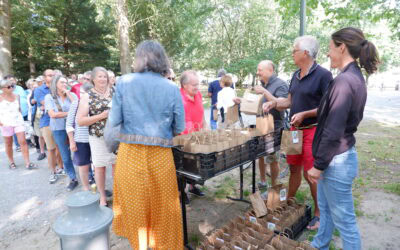 Distribution gratuite de bulbes dans le Bois // Samedi 21 Juin