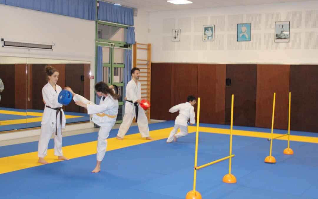STAGES DE KARATE