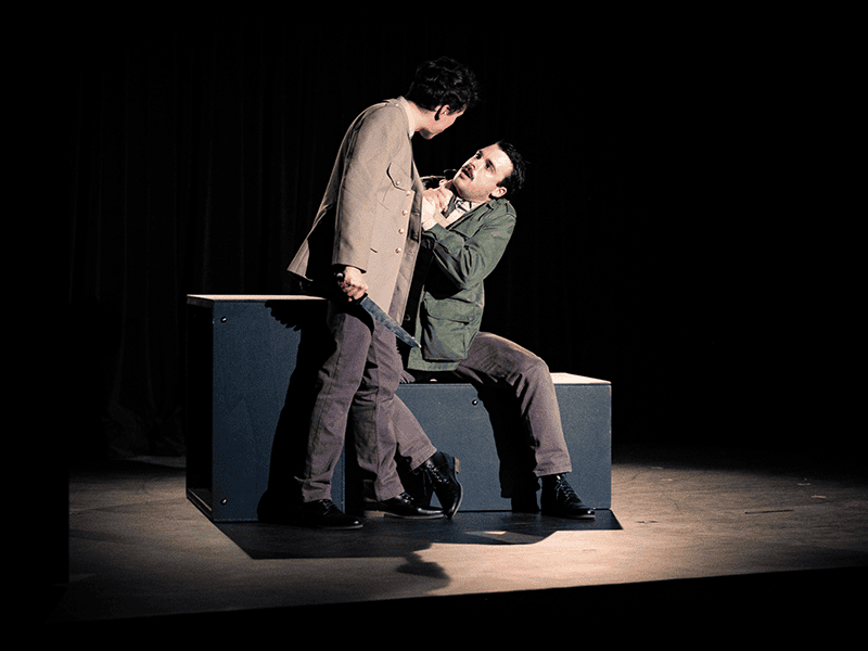 la guerre des emeus_©Benoit Salmon_800x600