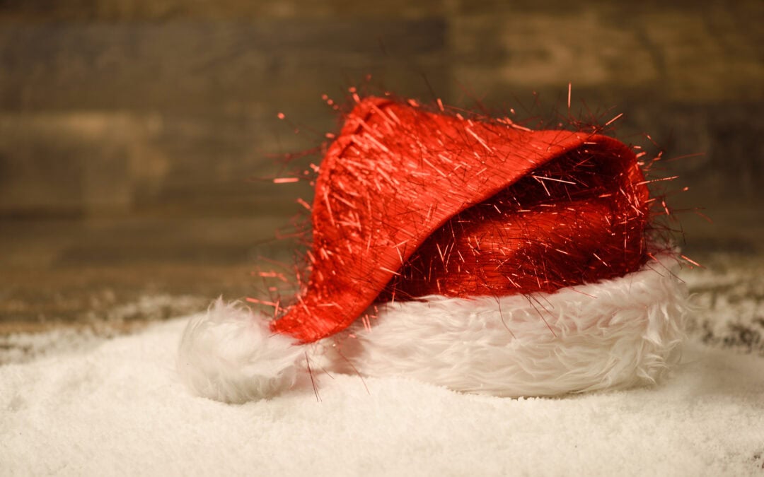 ANIMATION BIBLIOTHEQUE – « ELVIS ET L’HOMME AU MANTEAU ROUGE »