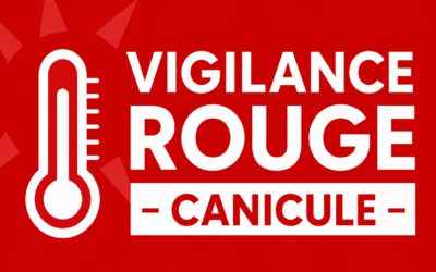Vigilance rouge canicule // la Ville communique