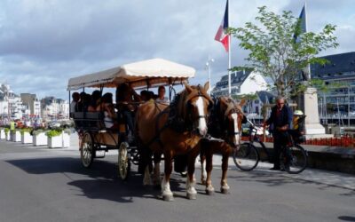 Vigilance canicule orange : balades en calèche annulées