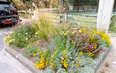 Fleurir, planter : Le Pouliguen prépare son avenir paysager