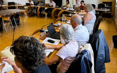 Posez vos questions aux élus avant un conseil municipal
