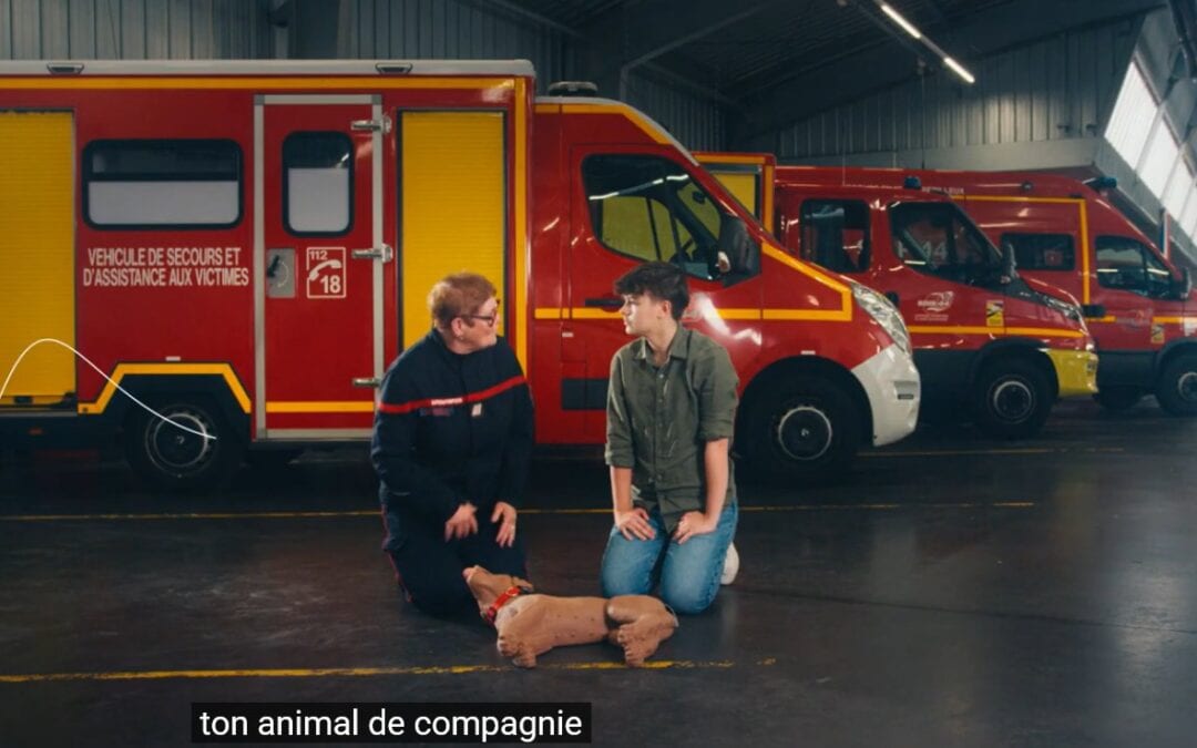 Formation aux gestes qui sauvent canins-félins
