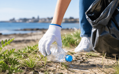 World Clean Up Day // Dimanche 20 septembre // Rendez-vous au Bois