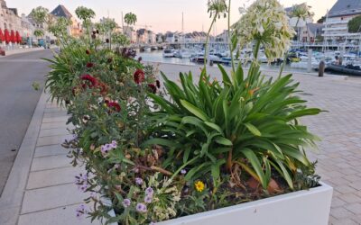 Espaces verts // La collectivité prépare déjà son printemps